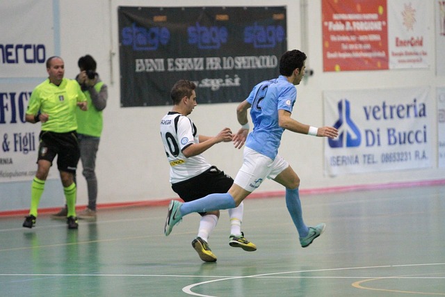 放了属于自 放了属于自