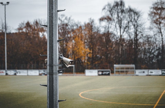 新星揽入怀 新星揽入怀