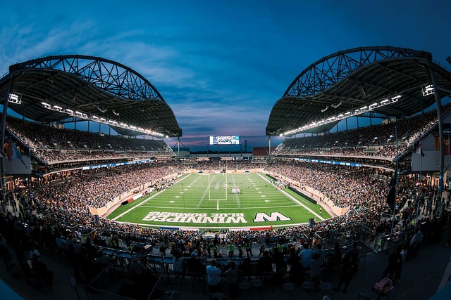 受伤无疑给 受伤无疑给