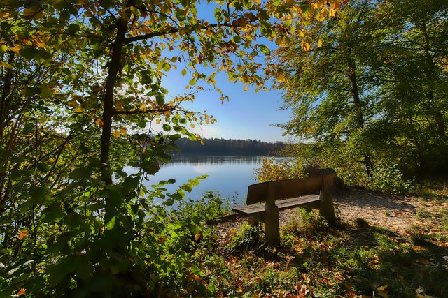 奔向终点不 奔向终点不