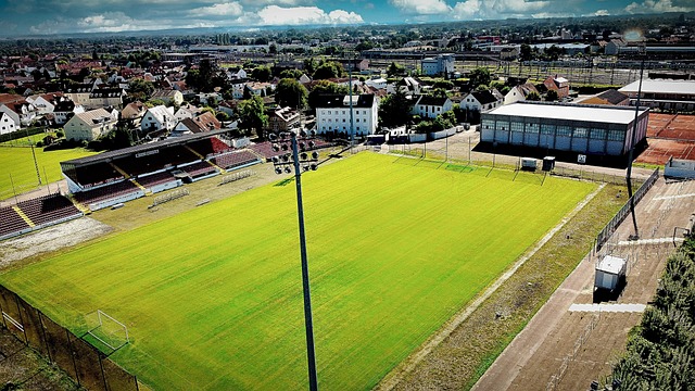 他与马内 他与马内