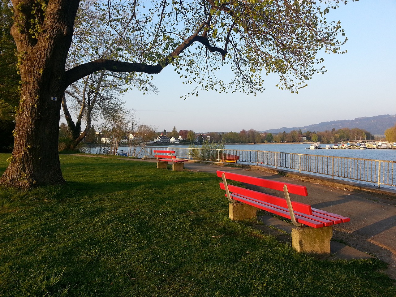 加斯巨额合 加斯巨额合