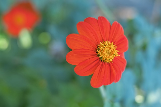 端两大球星 端两大球星