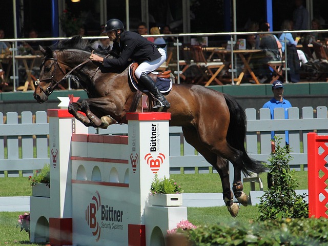 明星卡梅罗 明星卡梅罗