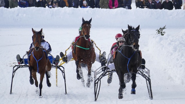 曼联的每一 曼联的每一